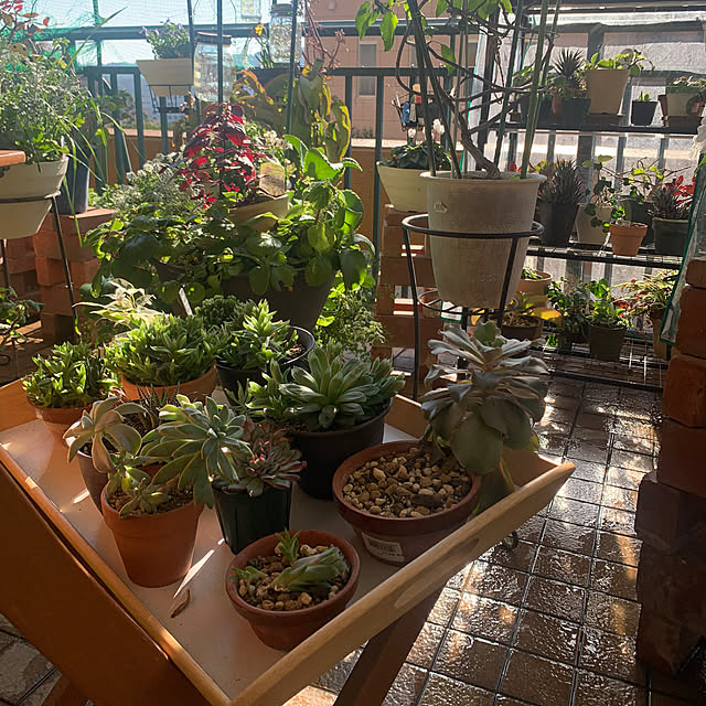 Aqettyさんの部屋