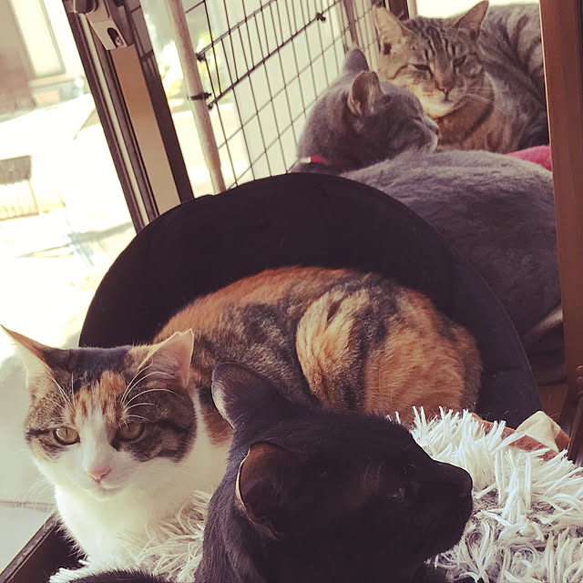 mayumasa22さんの実例写真