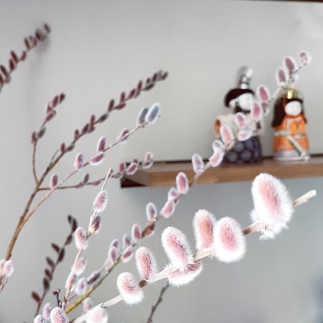 hana-さんの部屋