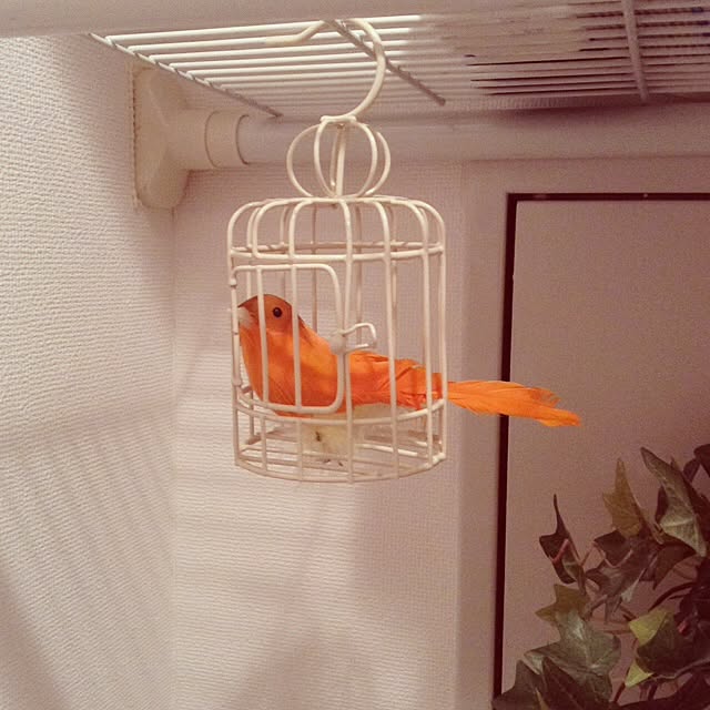 dodoさんの実例写真