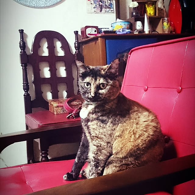 maamaさんの実例写真