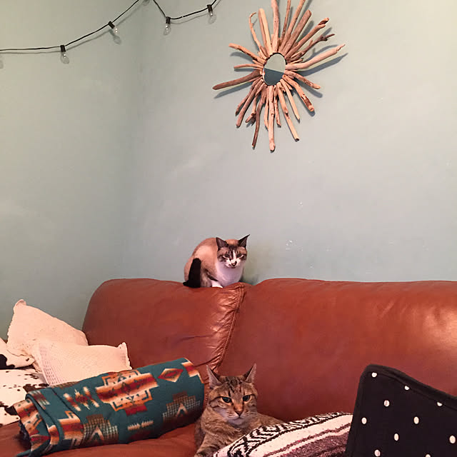 bowbowcoさんの実例写真