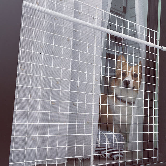 3ayuさんの実例写真