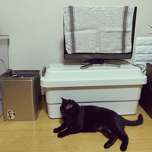 kuromiさんの実例写真