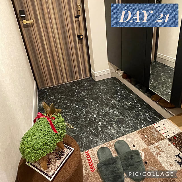 aureaさんの実例写真