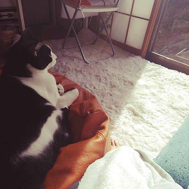 oseroさんの実例写真