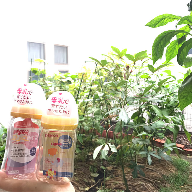 Ryoさんの実例写真
