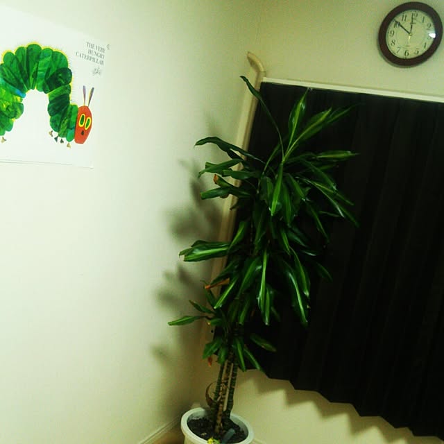 noguchiken0102さんの実例写真