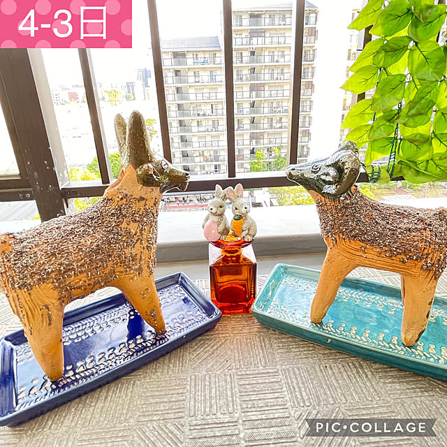 aureaさんの実例写真