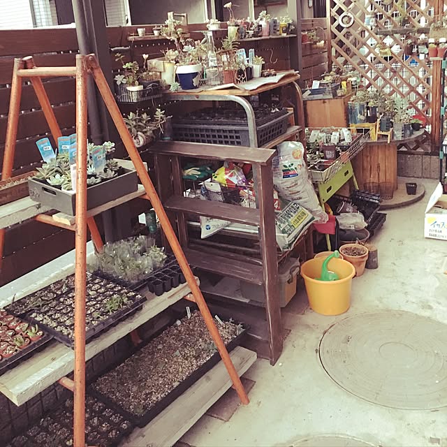 Ns_life_nattsuさんの実例写真