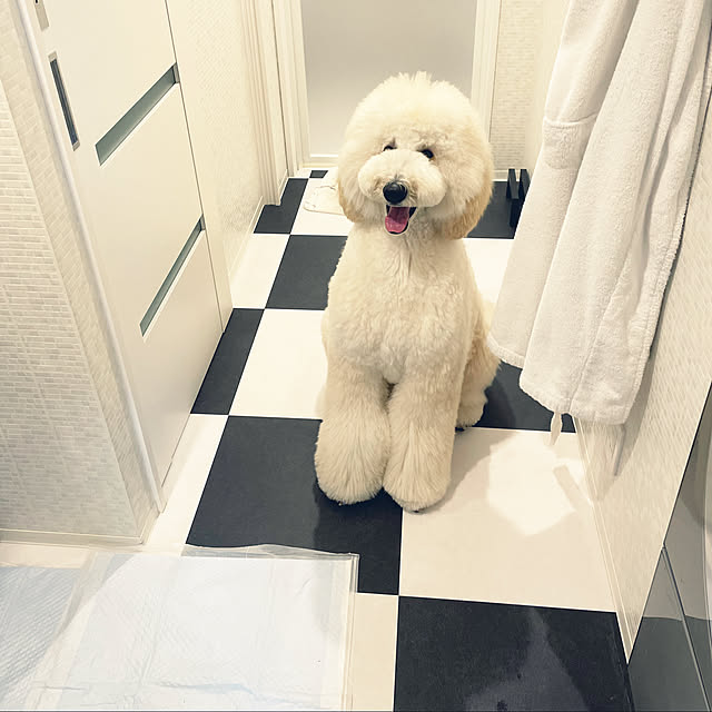 nackeyさんの実例写真