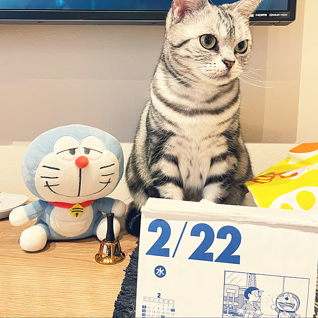 Aさんの実例写真