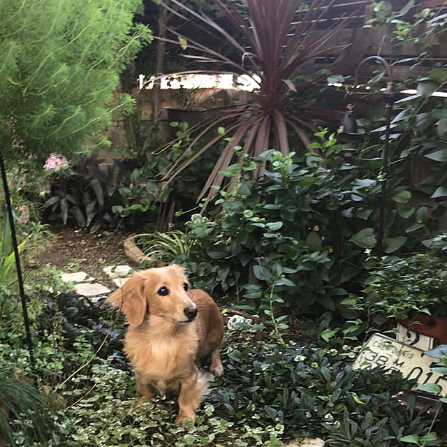 bibianさんの実例写真