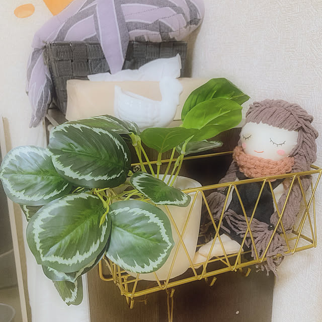 BOWさんの実例写真