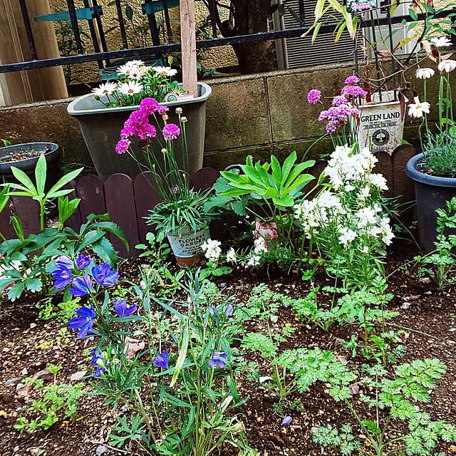 oseroさんの部屋
