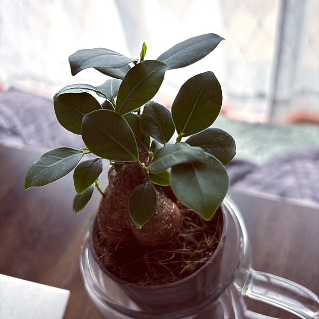 cecil..さんの部屋