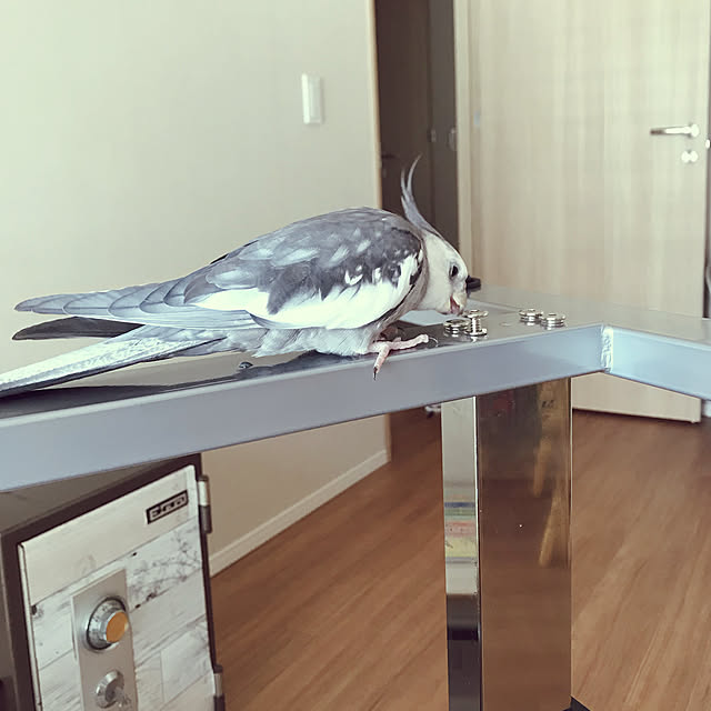 mukuさんの実例写真