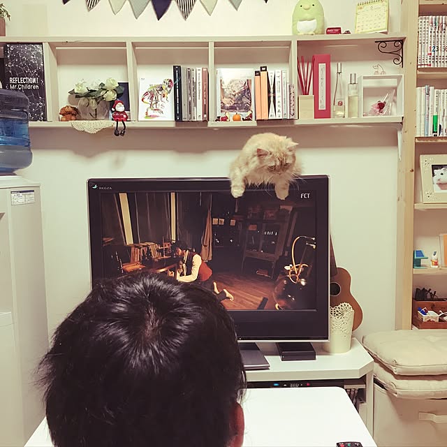 roseさんの実例写真