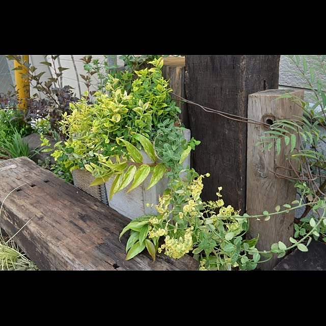 GreenWorksさんの実例写真