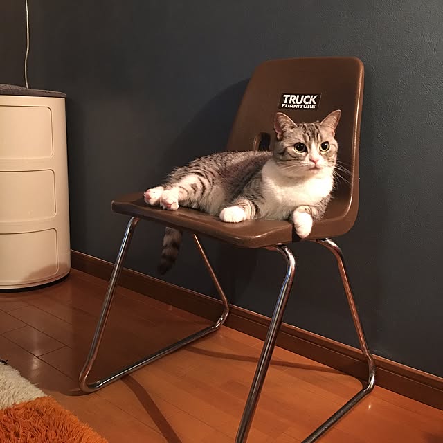 Shojiさんの実例写真