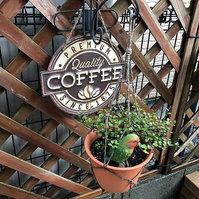 CoffeeHouseさんの実例写真