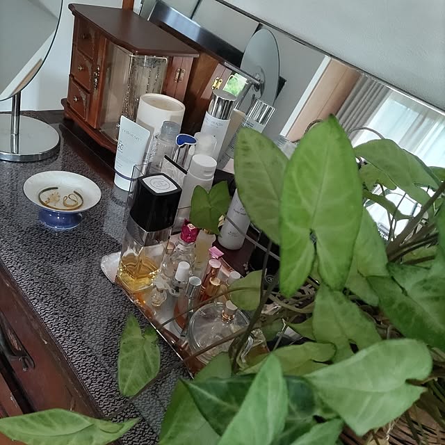 salacocoさんの実例写真