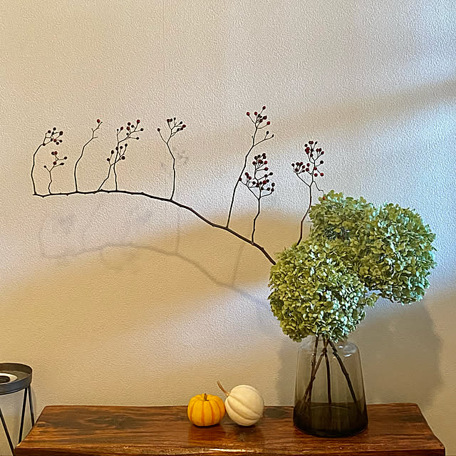 AFROmaniaさんの実例写真