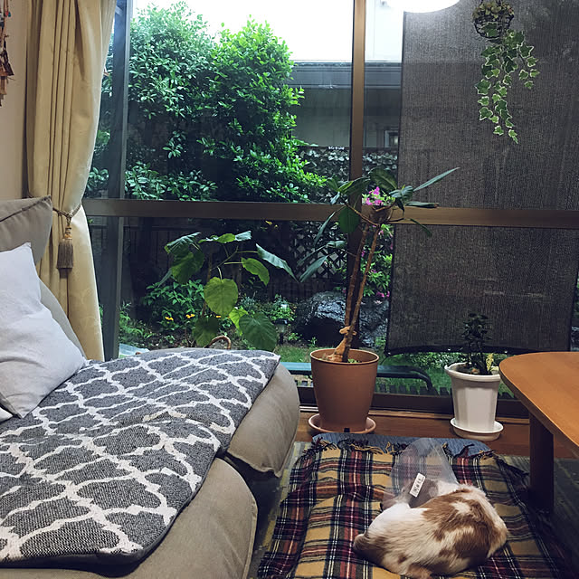 m-ktry.0530mikaさんの実例写真
