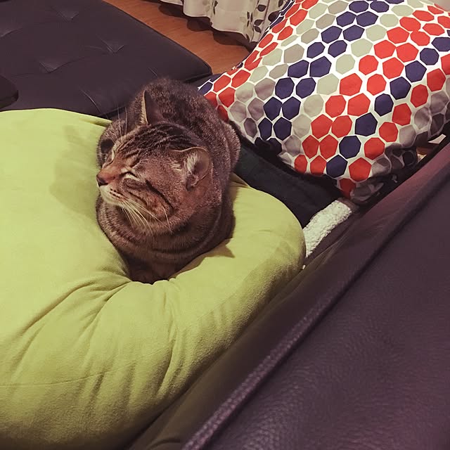 yumione555さんの実例写真