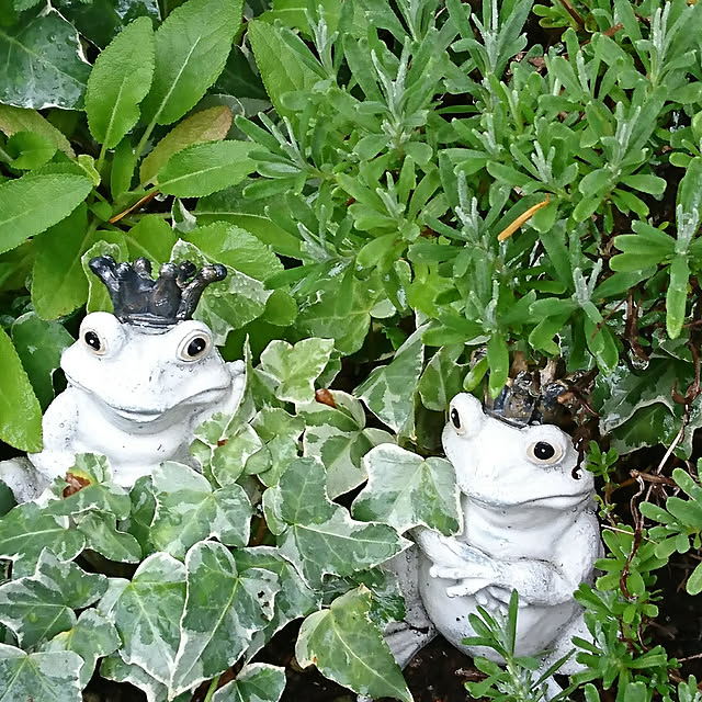 demetanさんの実例写真