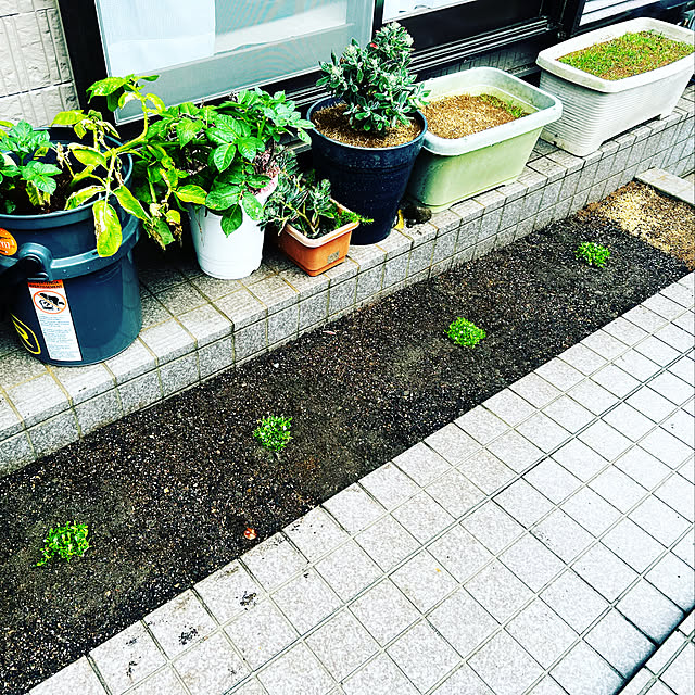 AnglersGardenさんの実例写真