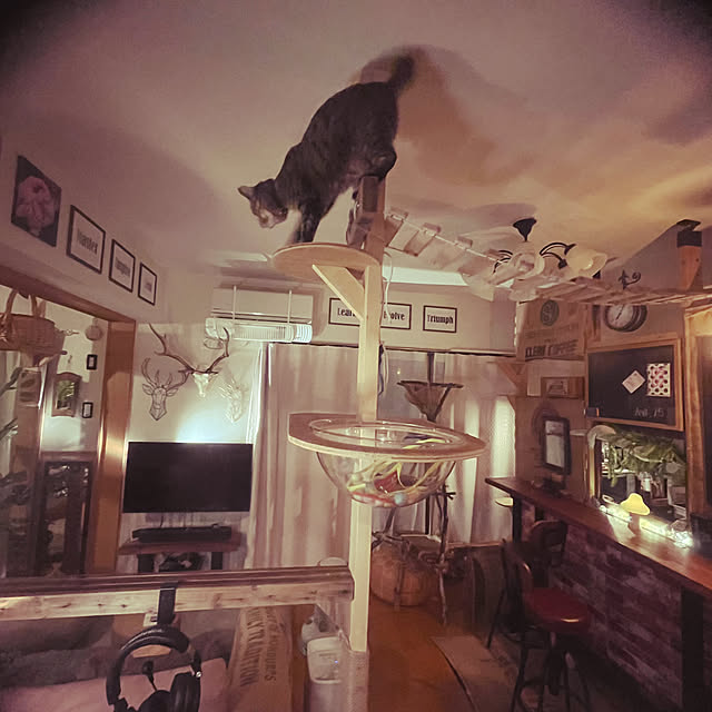 Mさんの部屋