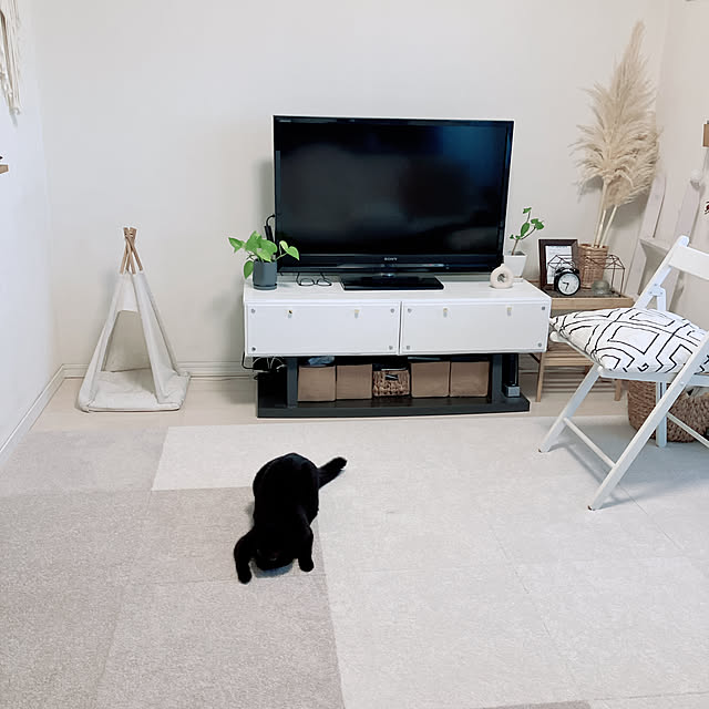 nekomiさんの部屋