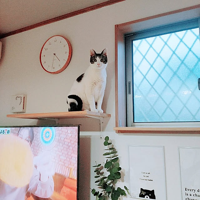 kirakirahikaruさんの実例写真