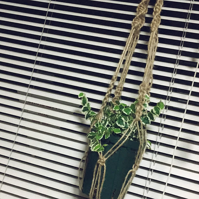 Momokoさんの実例写真