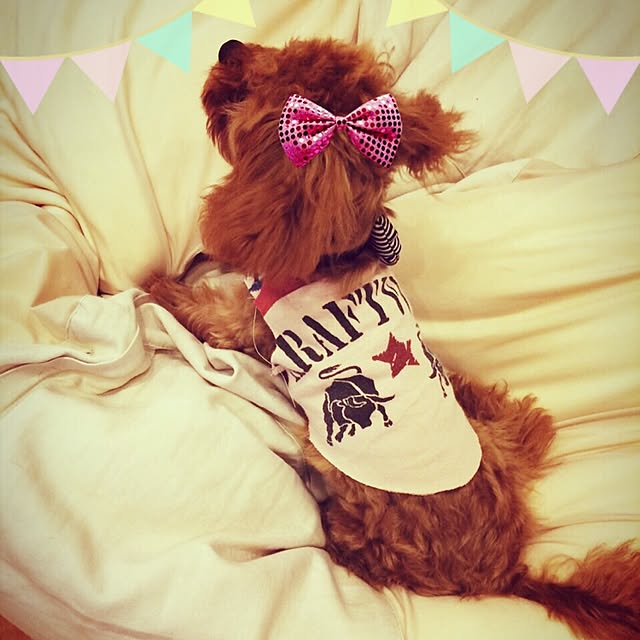 hanaさんの実例写真