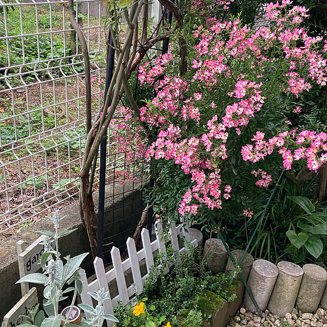 CoCo0617さんの実例写真