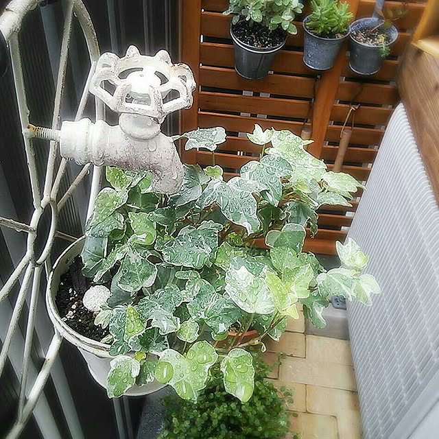 akiさんの実例写真