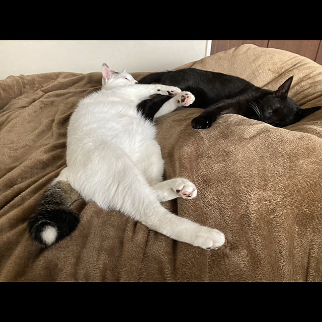 ma.さんの実例写真