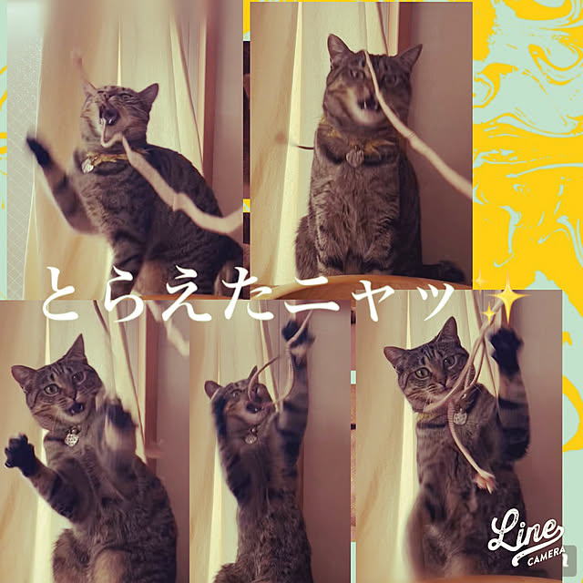 Mさんの実例写真