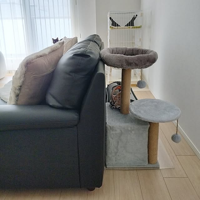 sakuraさんの部屋