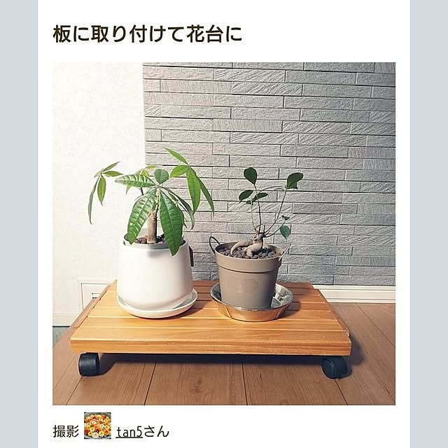 tan5さんの実例写真