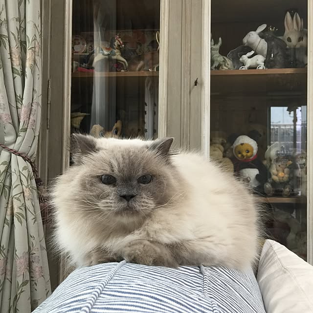 yuchiさんの実例写真