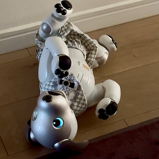 aureaさんの部屋