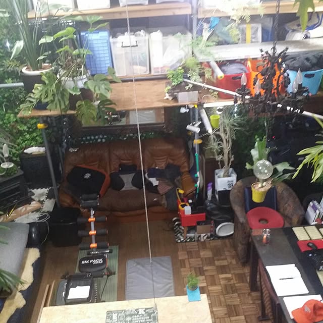 実例写真
