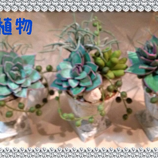 angelrose.yuuさんの実例写真