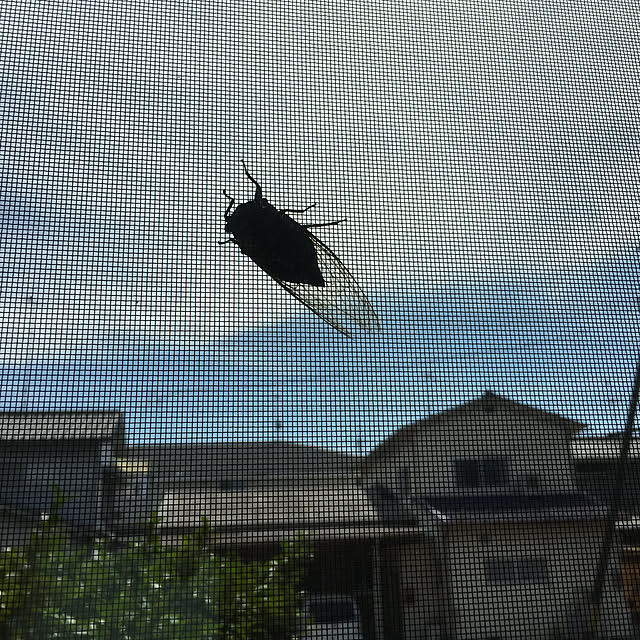 buchiさんの実例写真