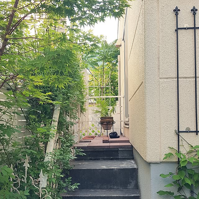 neoさんの実例写真
