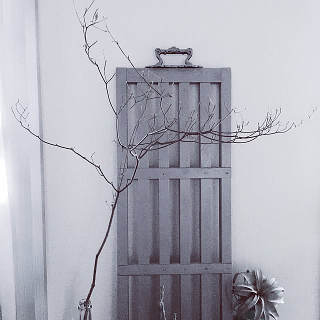 saokoさんの実例写真