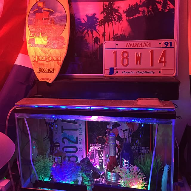 実例写真